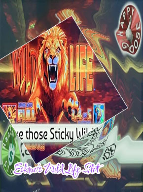 The wild life slots real money